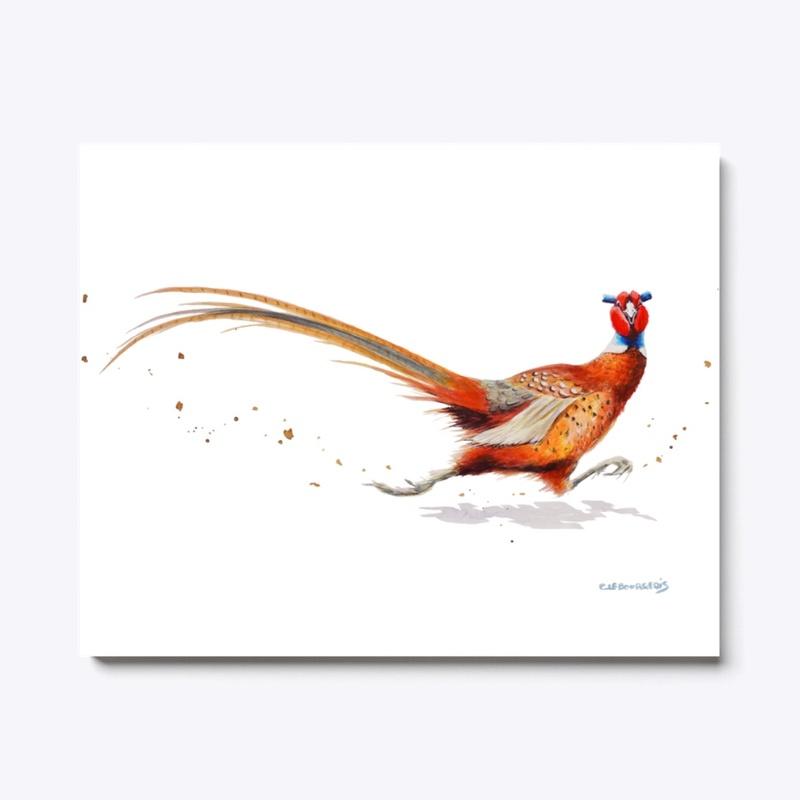 Pheasant running